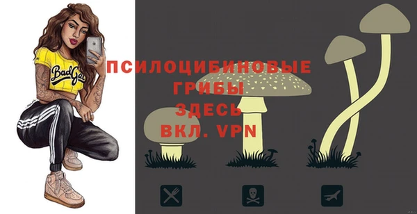 герыч Новокубанск