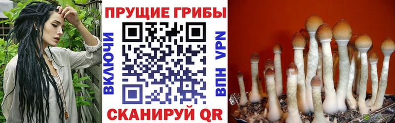 Галлюциногенные грибы мицелий  Купить закладки  Вологда 